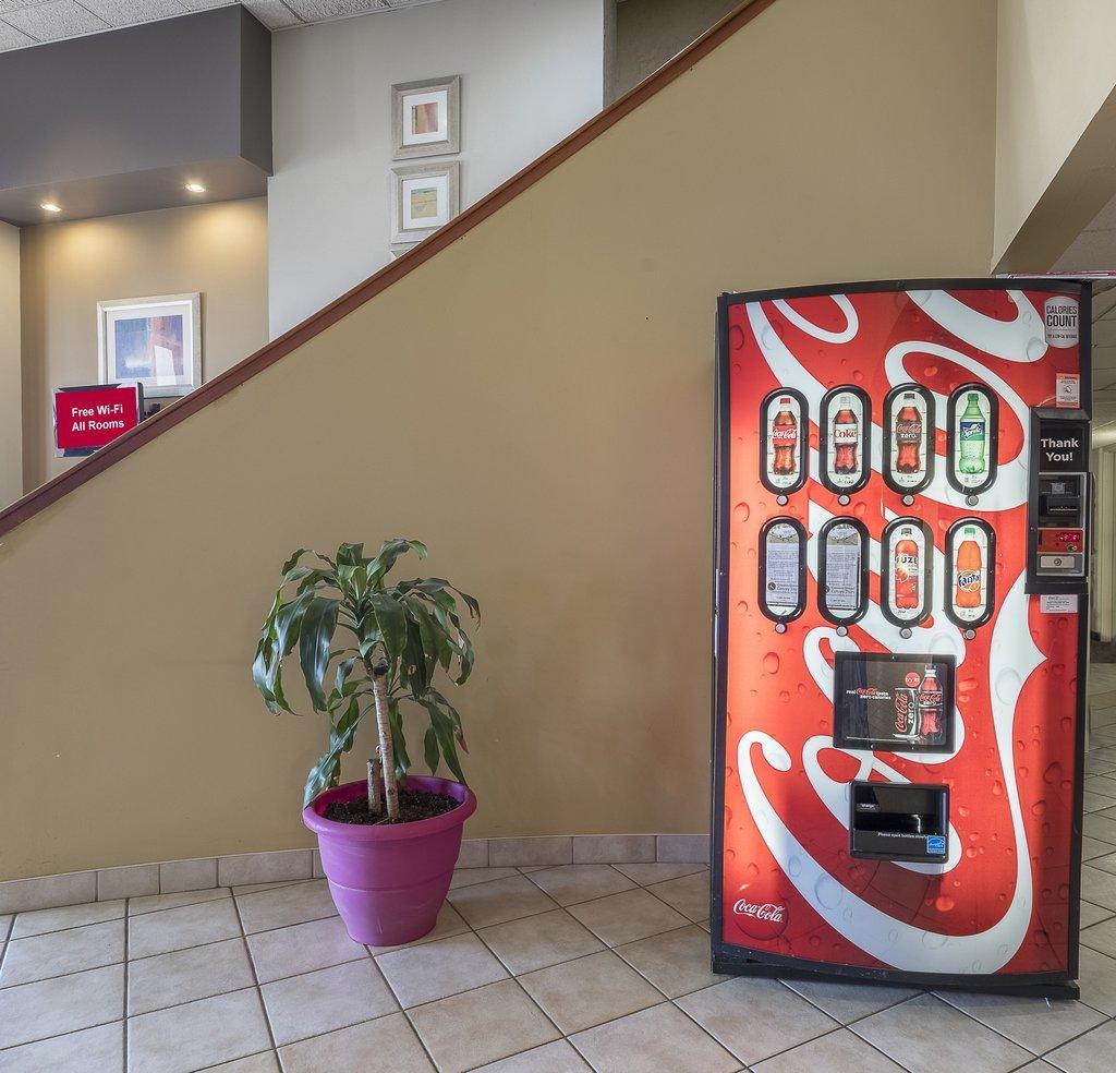 Red Roof Inn & Suites Cleveland - Elyria Extérieur photo